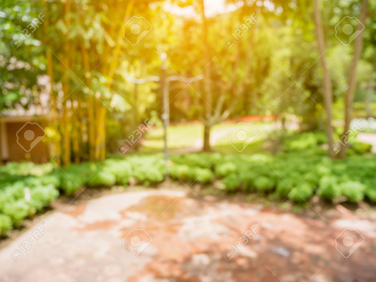 Walkway In The Flowers Garden Blur Background Stock Photo, Picture And  Royalty Free Image. Image 63855223.