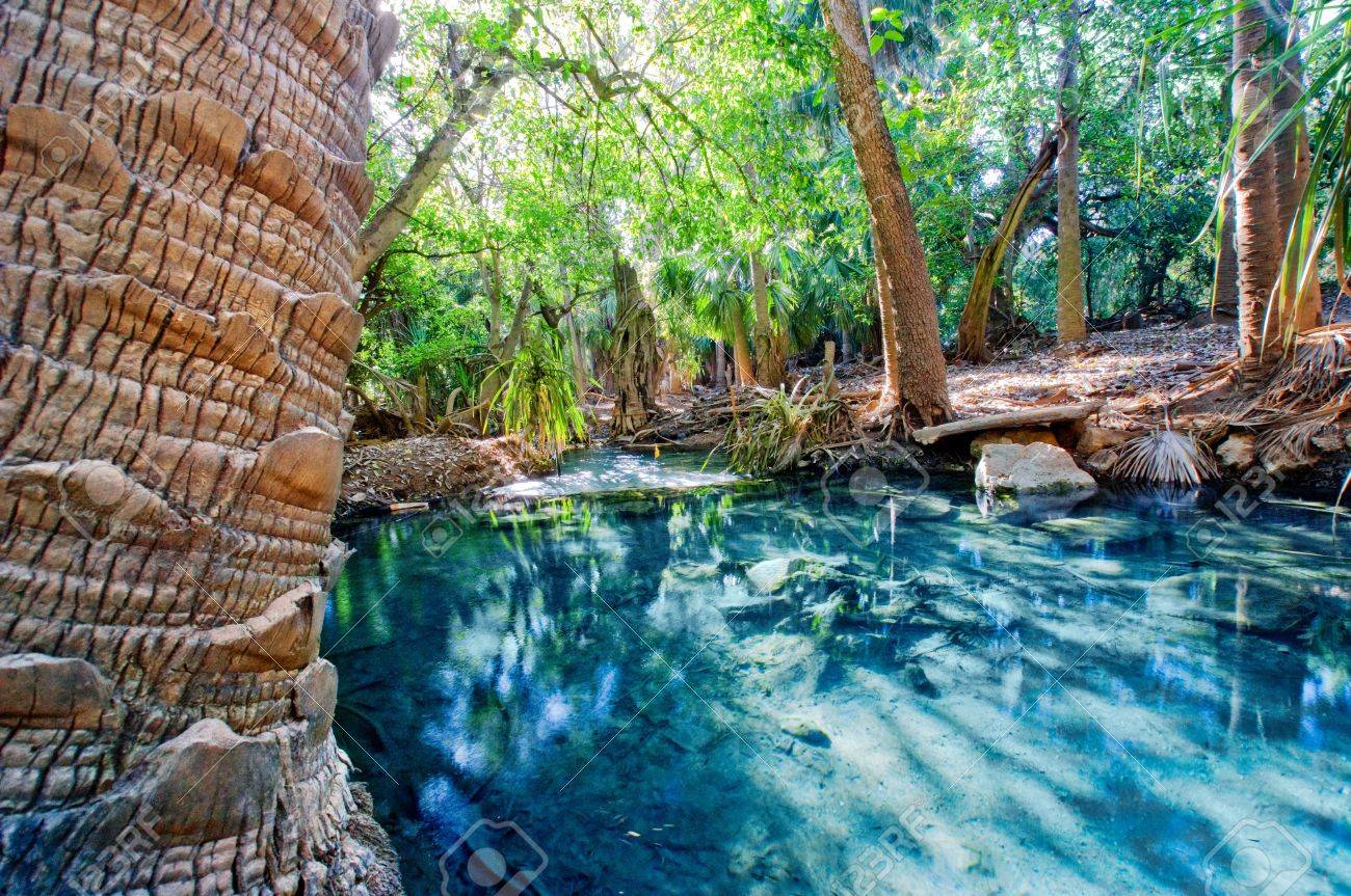 オーストラリア北部のマタランカ温泉 の写真素材 画像素材 Image