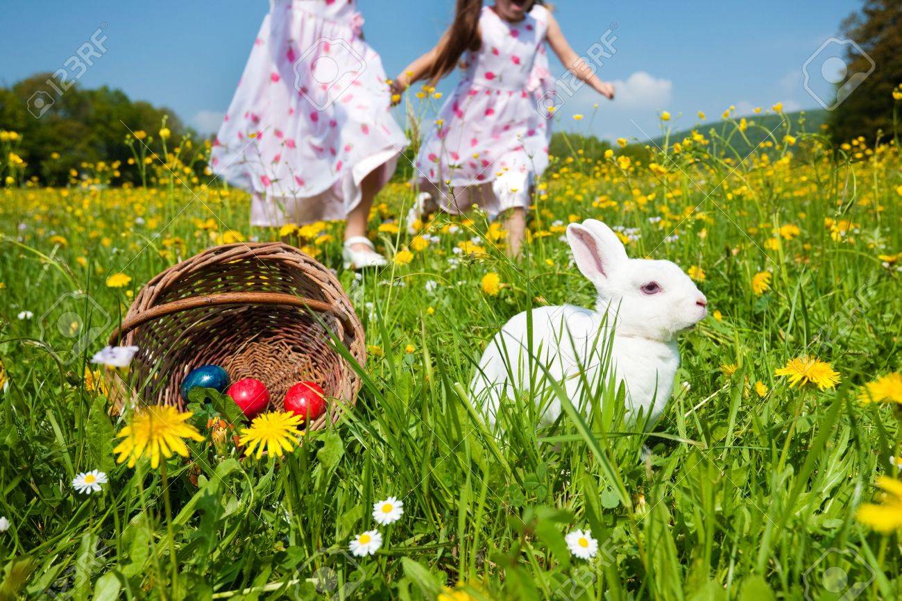 Children on an Easter Egg hunt on a meadow in spring, in the foreground the Easter bunny is waiting - 11912438 Children on an Easter Egg hunt on a meadow in spring, in the foreground the Easter bunny is waiting - 11912438