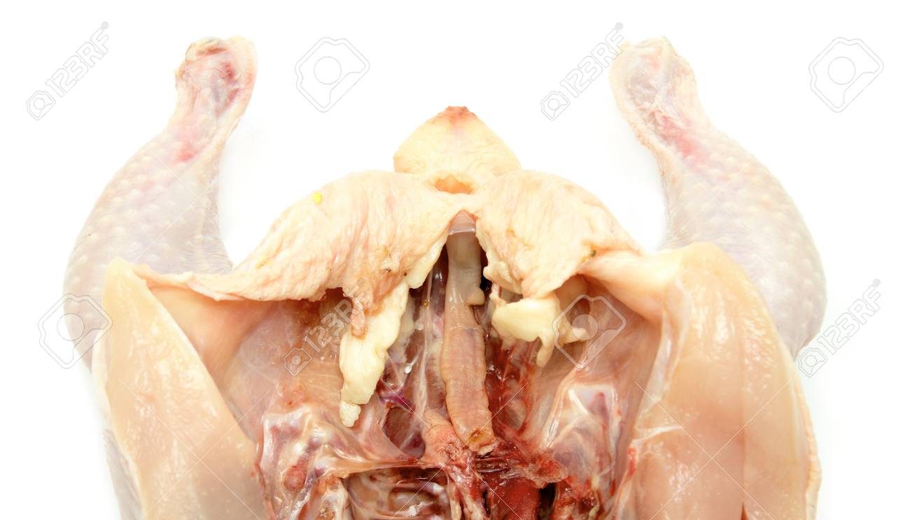 etiam-dictum-ipsum-a-felis