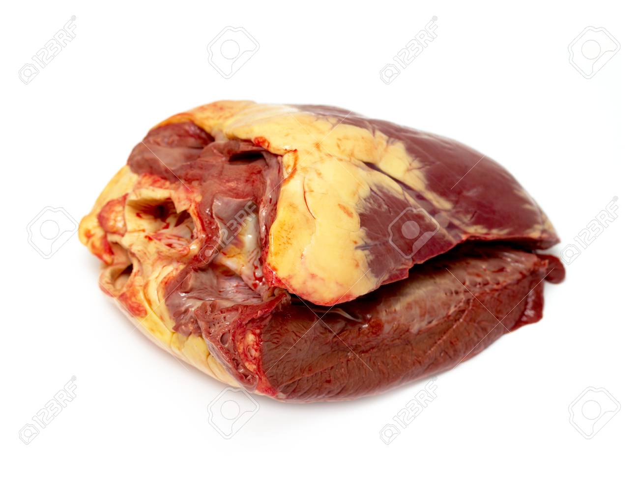 etiam-dictum-ipsum-a-felis