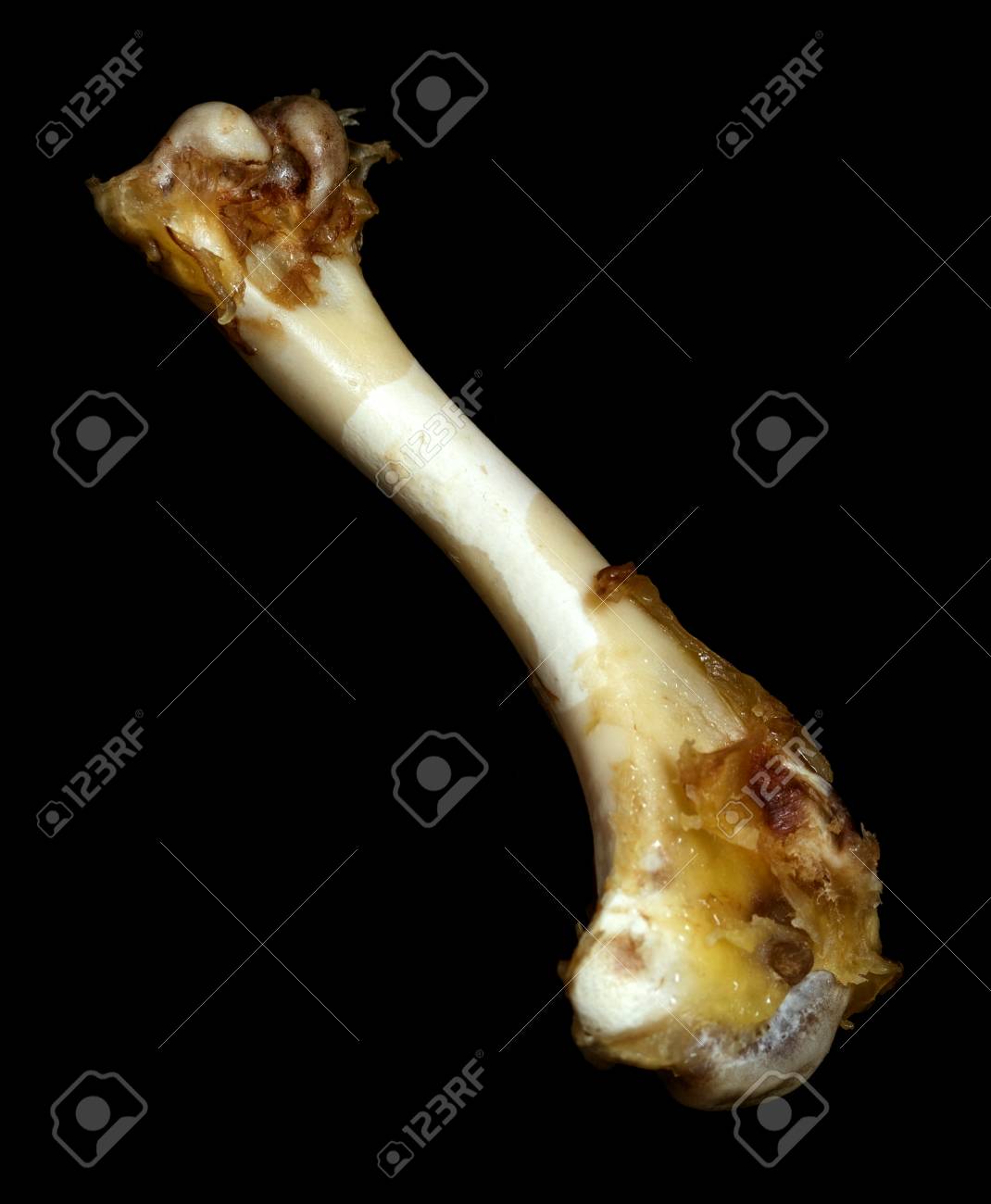 etiam-dictum-ipsum-a-felis