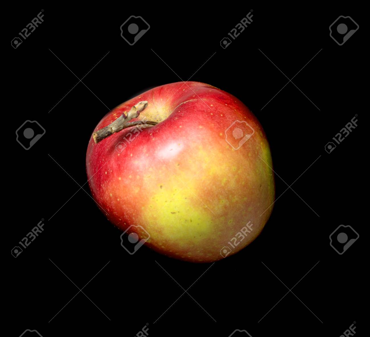 etiam-dictum-ipsum-a-felis