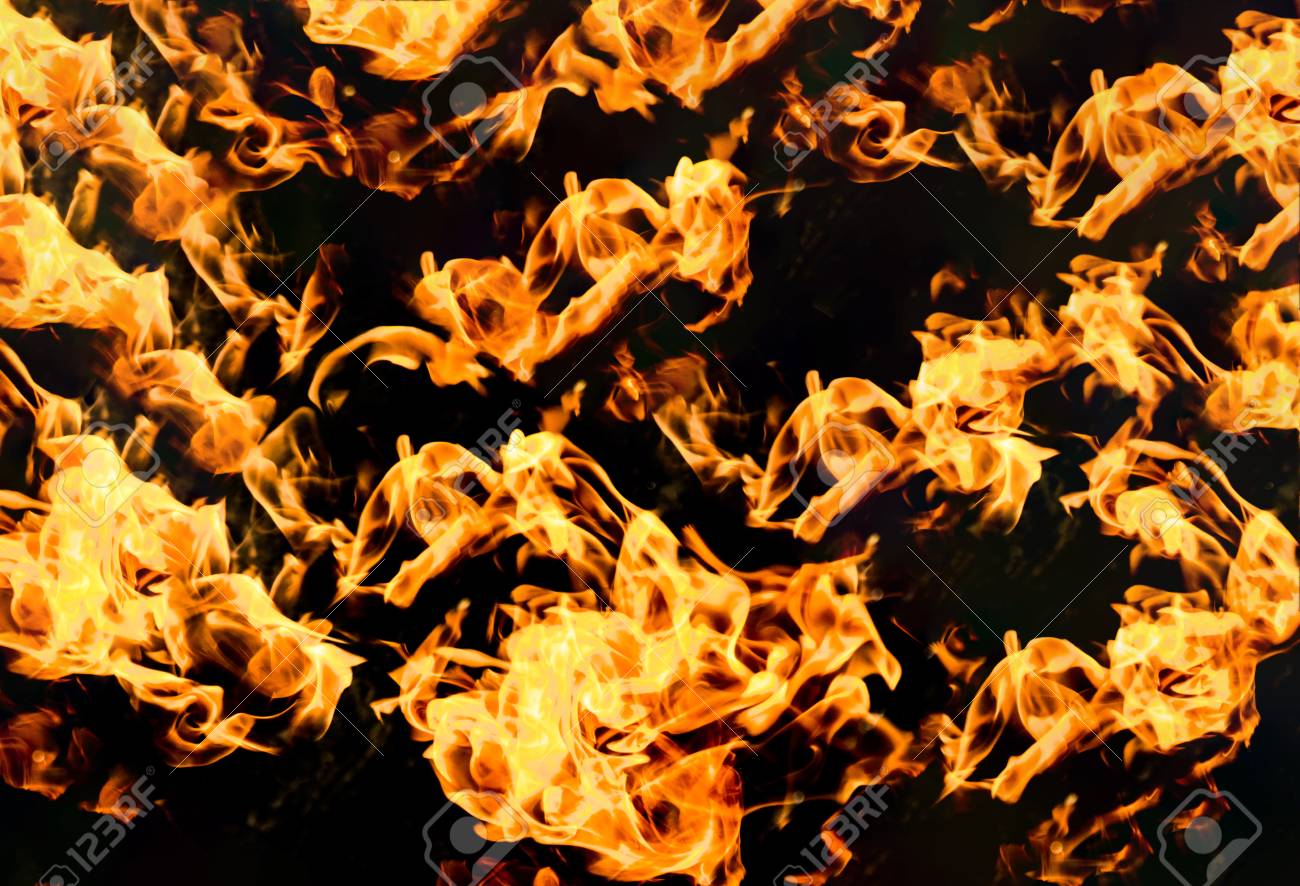 etiam-dictum-ipsum-a-felis