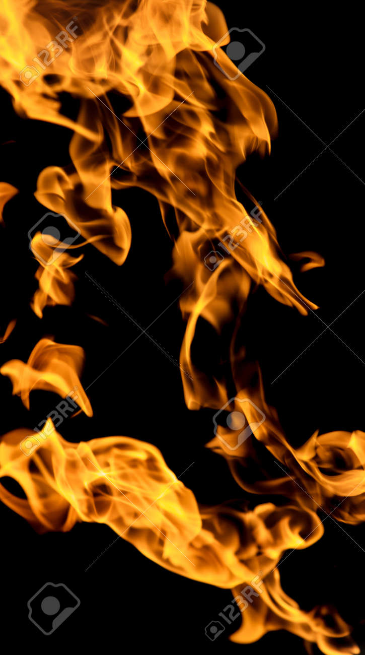 etiam-dictum-ipsum-a-felis