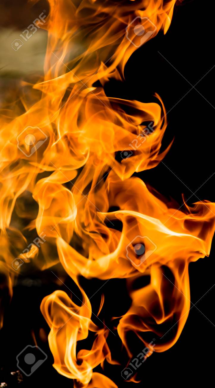 etiam-dictum-ipsum-a-felis