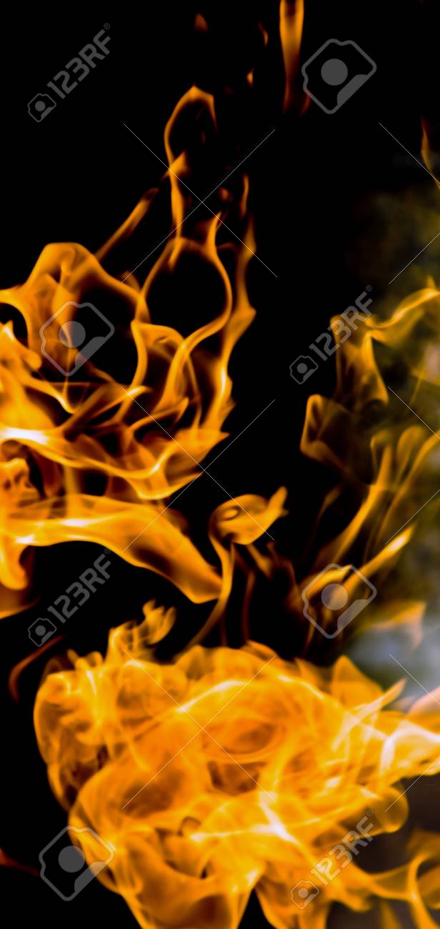 etiam-dictum-ipsum-a-felis