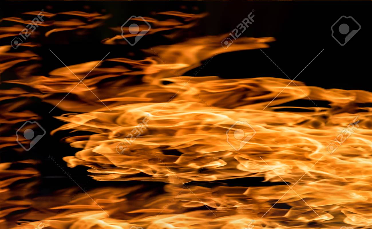 etiam-dictum-ipsum-a-felis