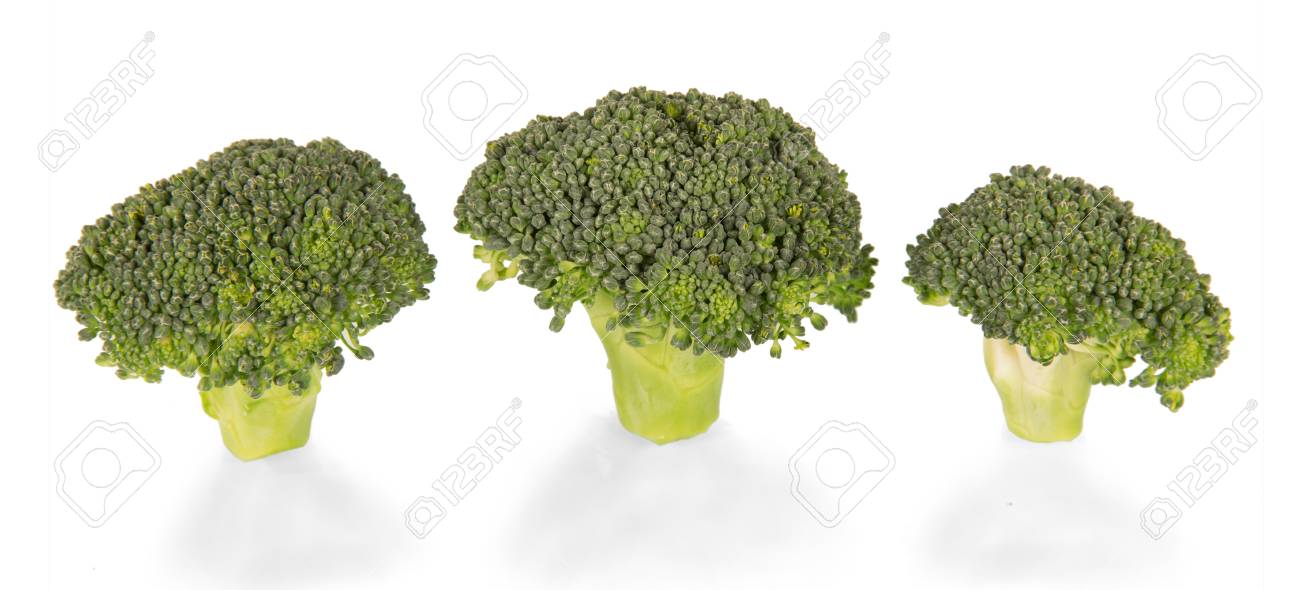 ブロッコリーの花序は幹が白い背景で隔離の上に立ちます の写真素材 画像素材 Image