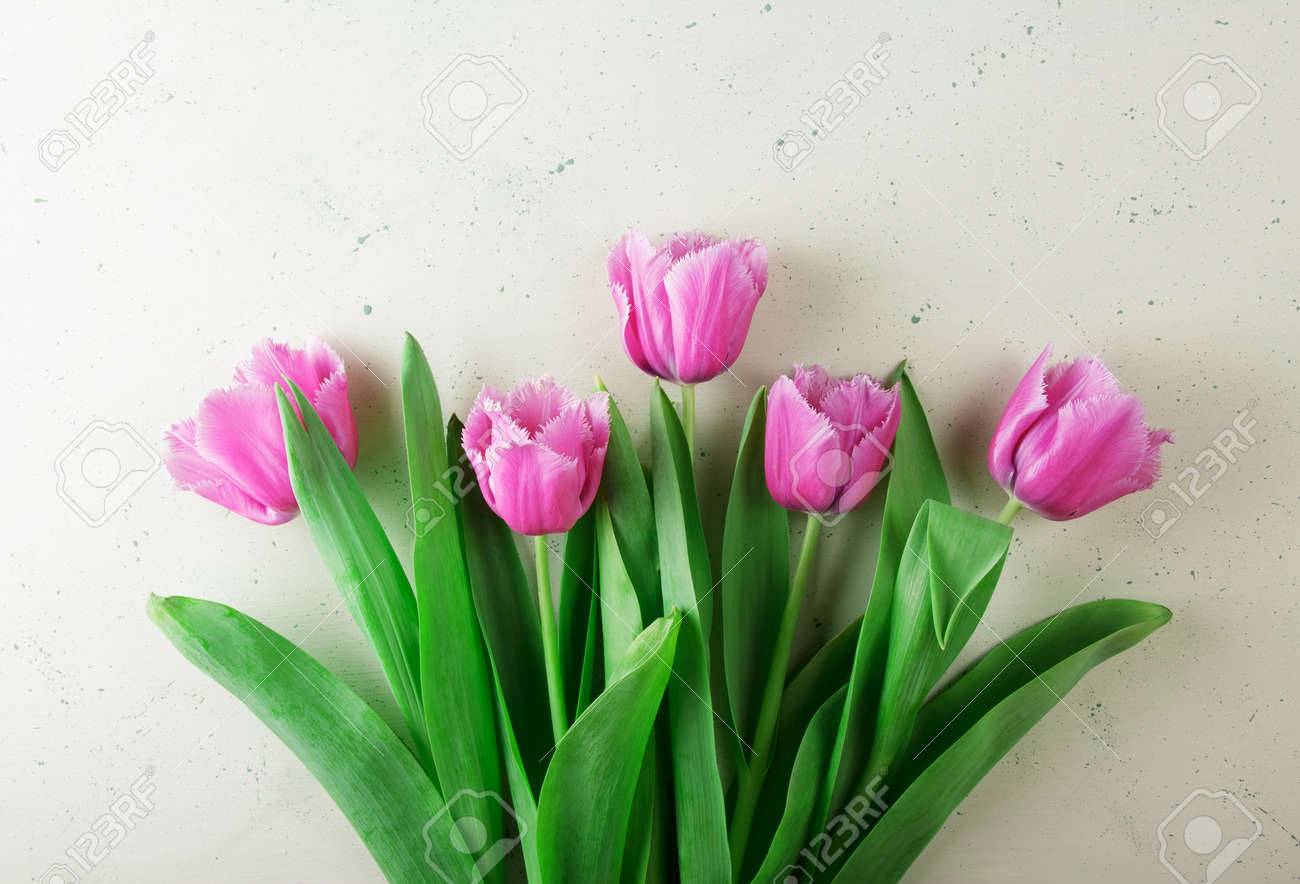 Top view. Fresh beautiful pink tulips with fringe on light background - 167225924 Top view. Fresh beautiful pink tulips with fringe on light background - 167225924