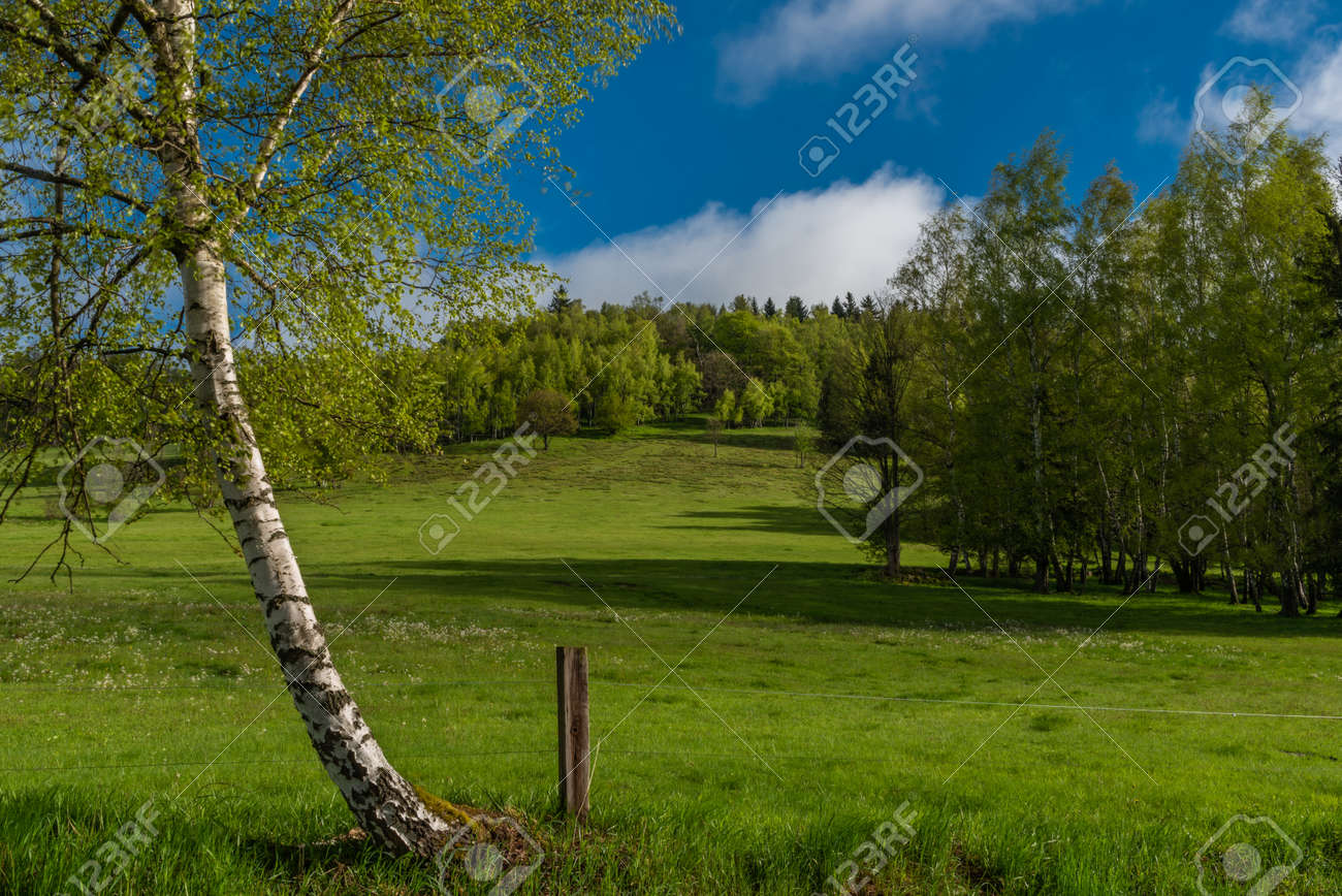 Morning near Nejdek town with fresh green pasture land after night rain - 169616535 Morning near Nejdek town with fresh green pasture land after night rain - 169616535