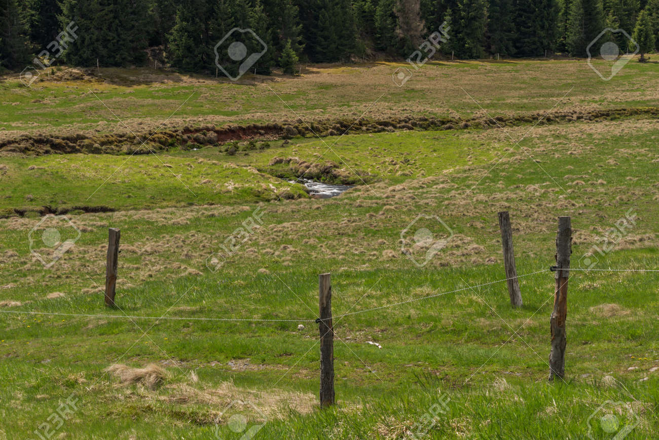 Prebuz village with fresh meadows and forests in Krusne mountains - 169616545 Prebuz village with fresh meadows and forests in Krusne mountains - 169616545