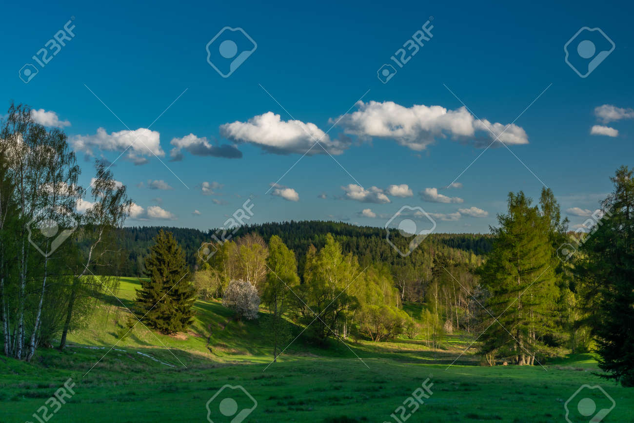 Evening with sunset near Nejdek town with fresh green pasture land after night rain - 169616554 Evening with sunset near Nejdek town with fresh green pasture land after night rain - 169616554