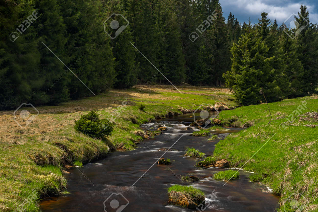 Rolava river with fresh meadows and forests in Krusne mountains - 169616757 Rolava river with fresh meadows and forests in Krusne mountains - 169616757
