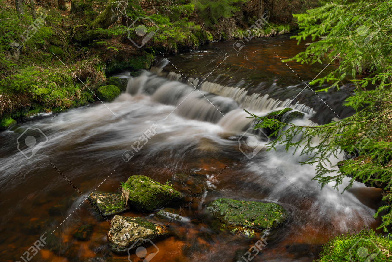 Rolava river with fresh meadows and forests in Krusne mountains - 169616763 Rolava river with fresh meadows and forests in Krusne mountains - 169616763
