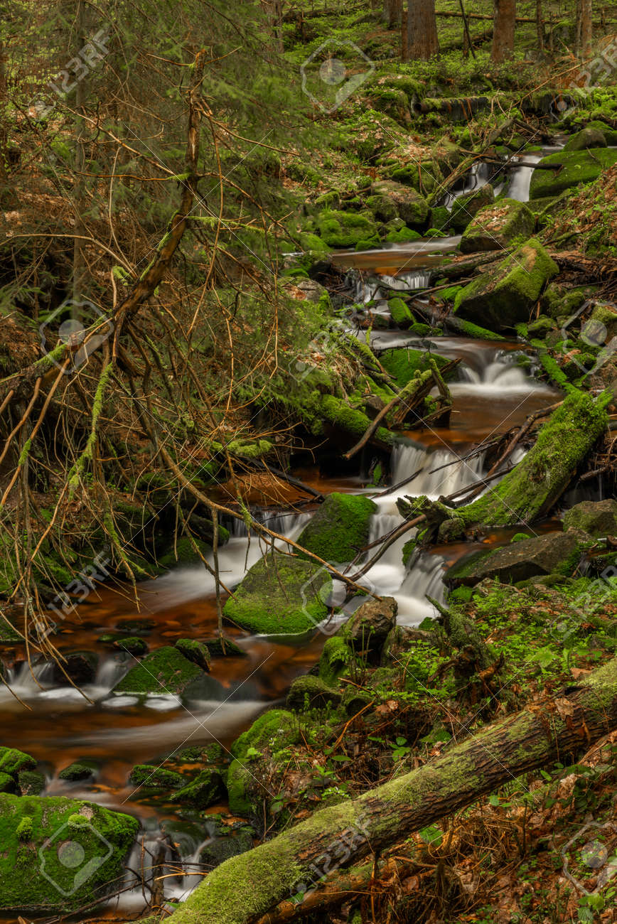 Skrivan color creek in Krusne mountains in spring morning after cold rain - 170005009 Skrivan color creek in Krusne mountains in spring morning after cold rain - 170005009