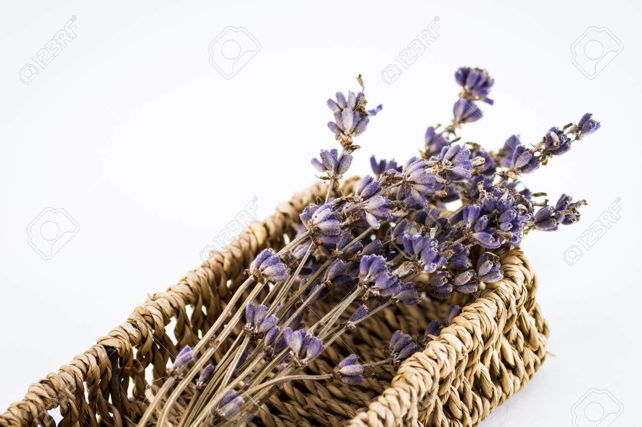 Fleurs De Lavande Séchées