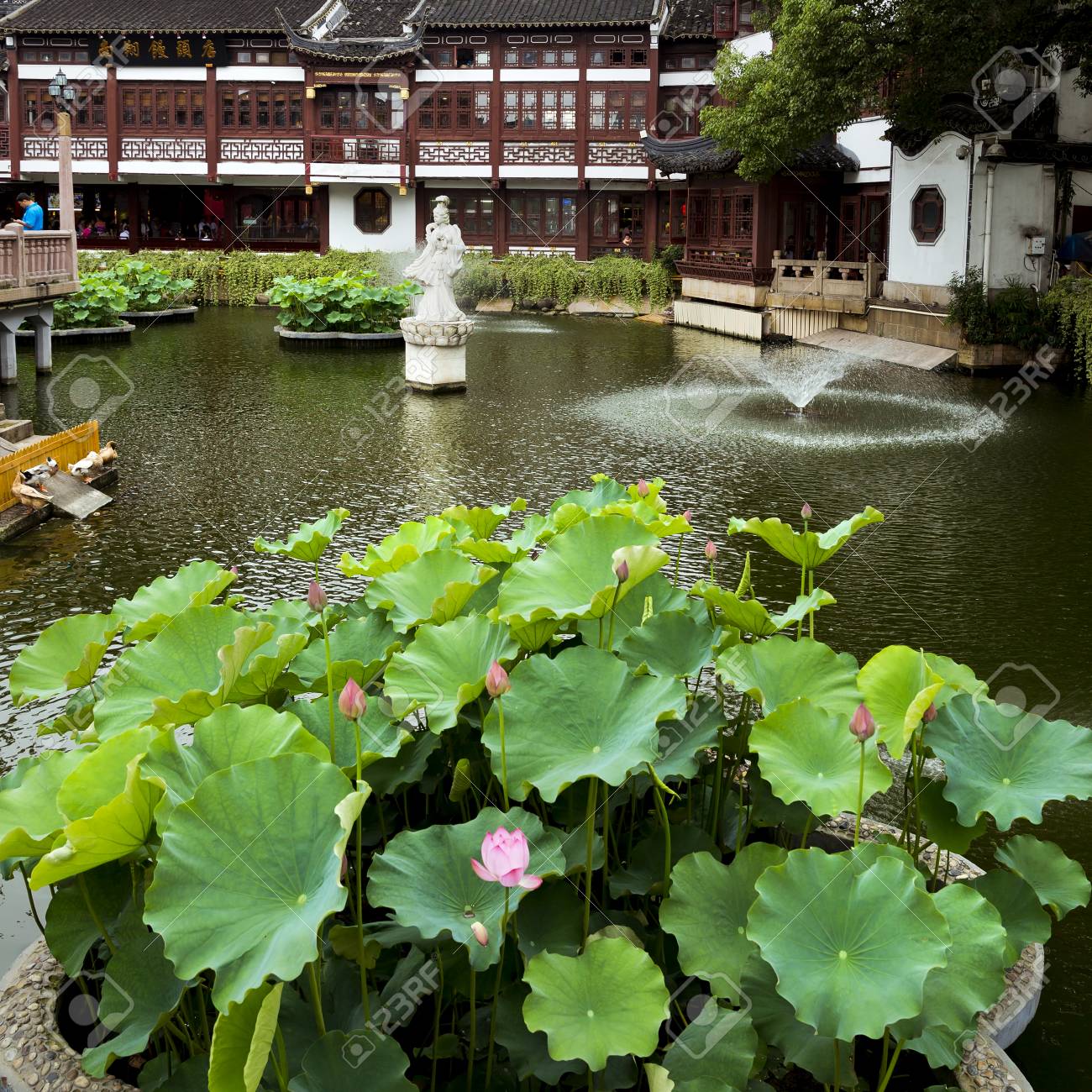 Ancient Chinese Yu Yuan Garden In Shanghai China Stock Photo Picture And Royalty Free Image Image Ancient Chinese Yu Yuan Garden In Shanghai China Stock Photo Picture And Royalty Free Image Image