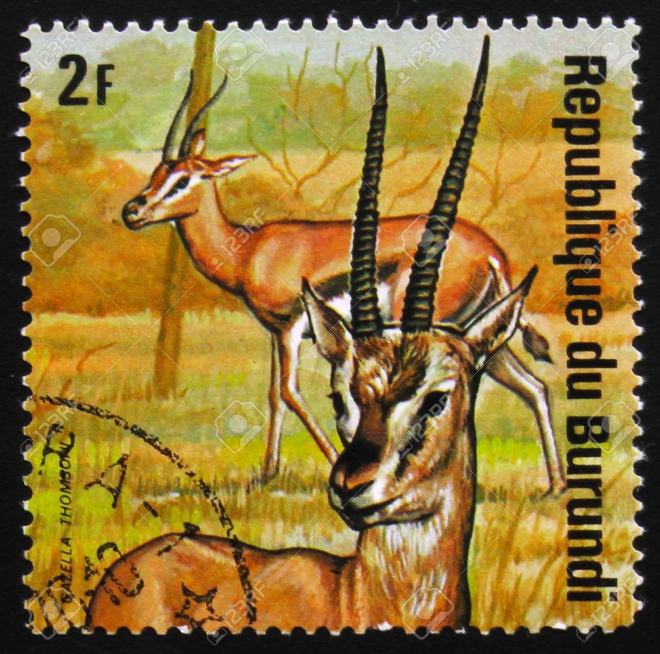 gazelle 2017