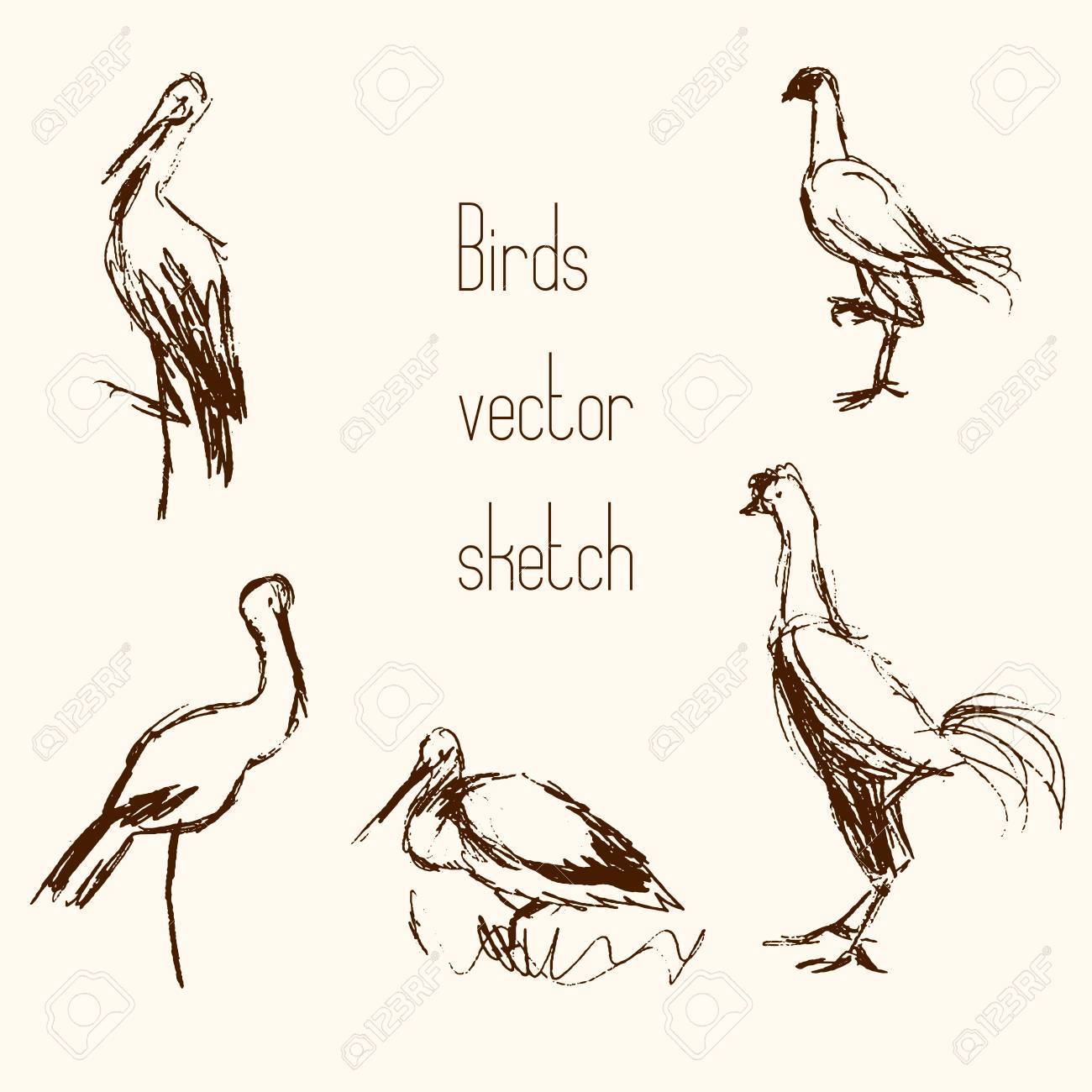 set of bird pencil