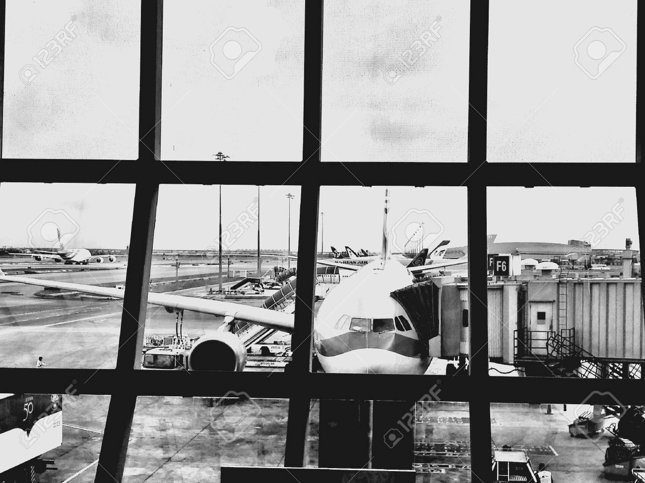 etiam-dictum-ipsum-a-felis