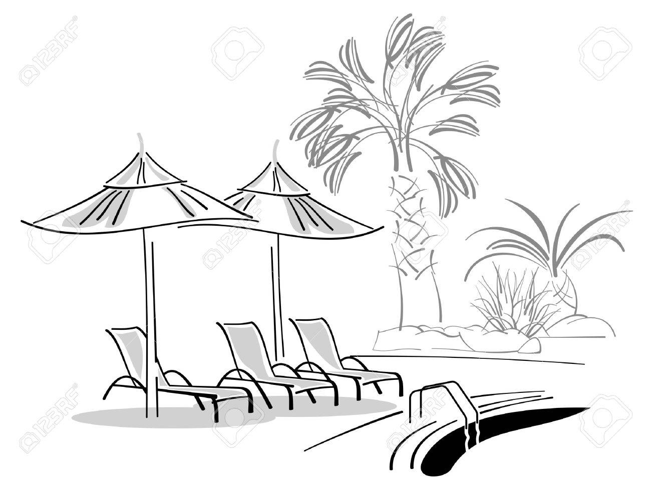 Sunbeds And Umbrellas Near Swimming Pool Stock Vector Sunbeds And Umbrellas Near Swimming Pool Stock Vector