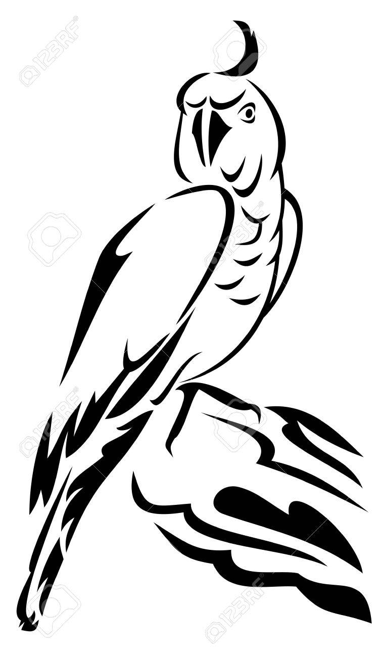 parrot outline royalty free cliparts vectors and stock illustration image 36664993