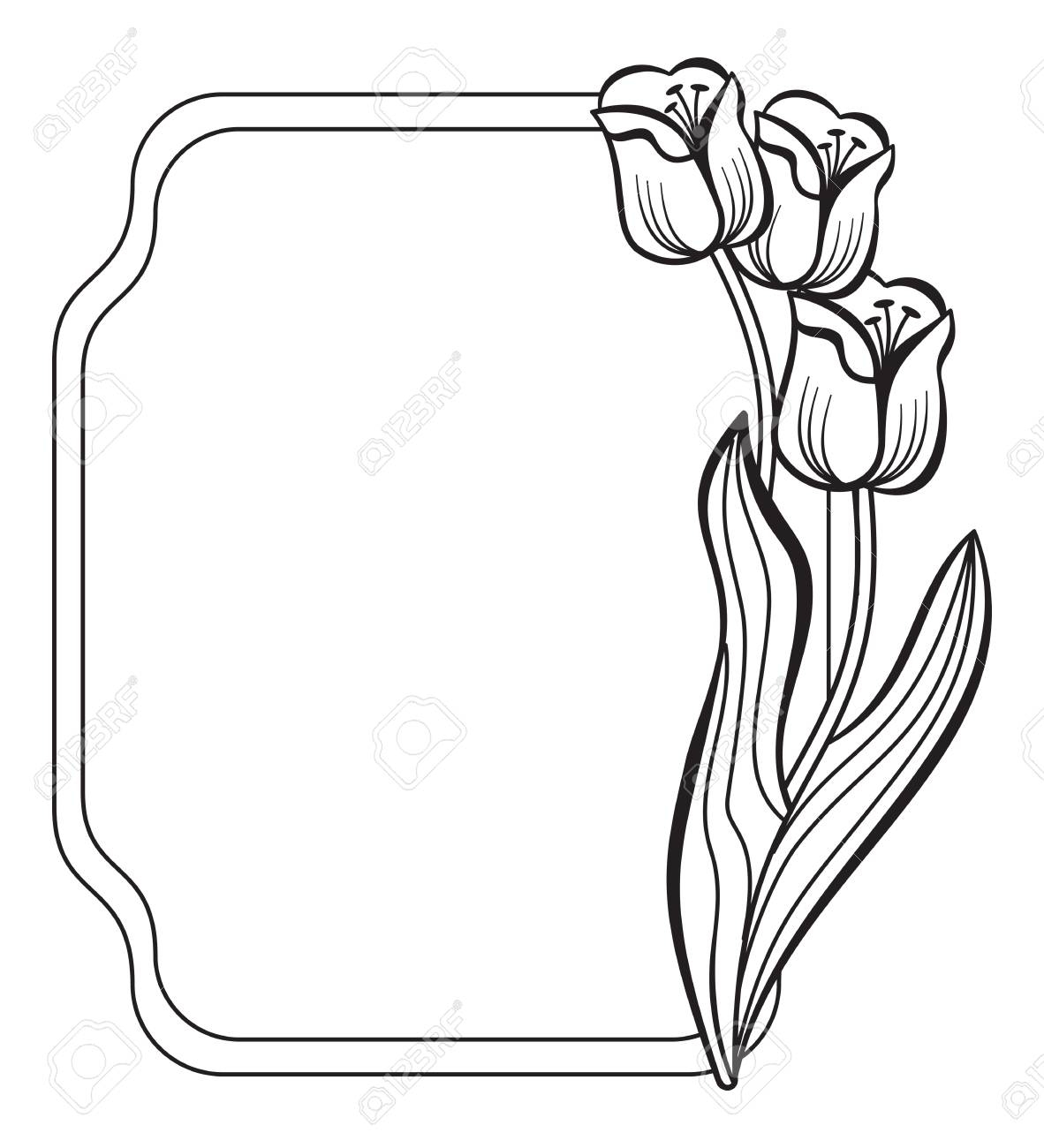 elegant frame with outline tulips royalty free cliparts vectors and stock illustration image 54706430 elegant frame with outline tulips