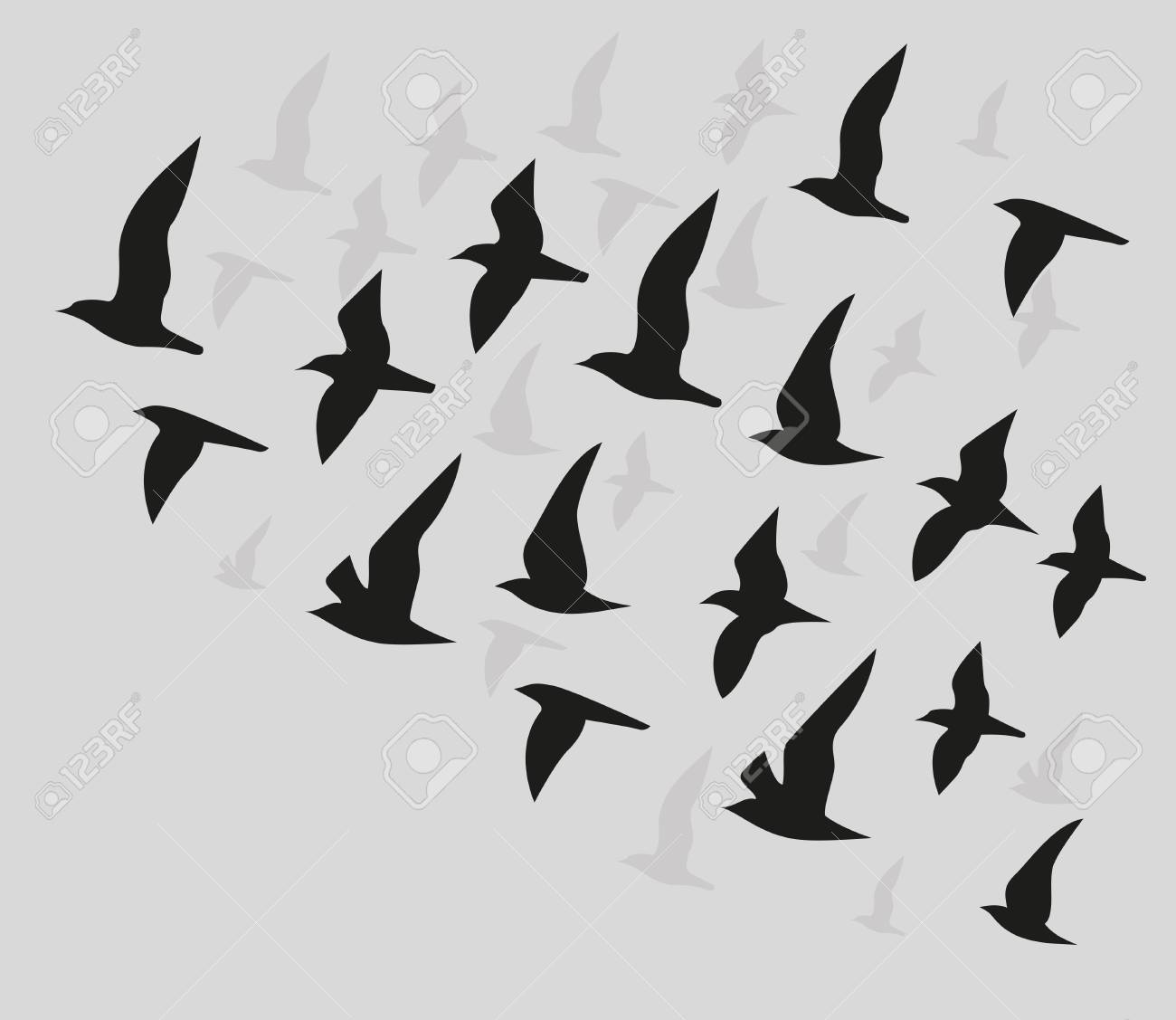 飛ぶ鳥のシルエット の写真素材 画像素材 Image