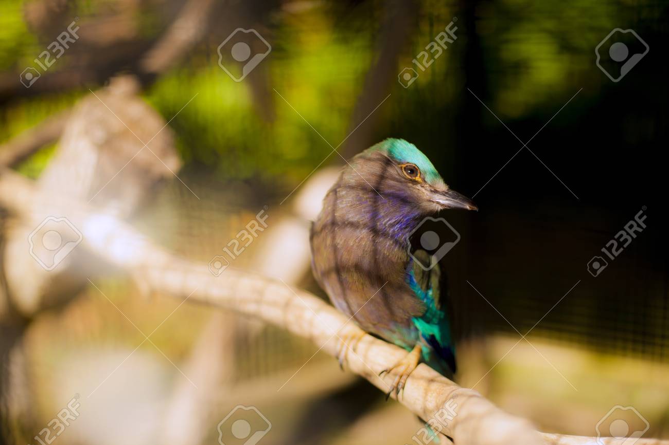 etiam-dictum-ipsum-a-felis