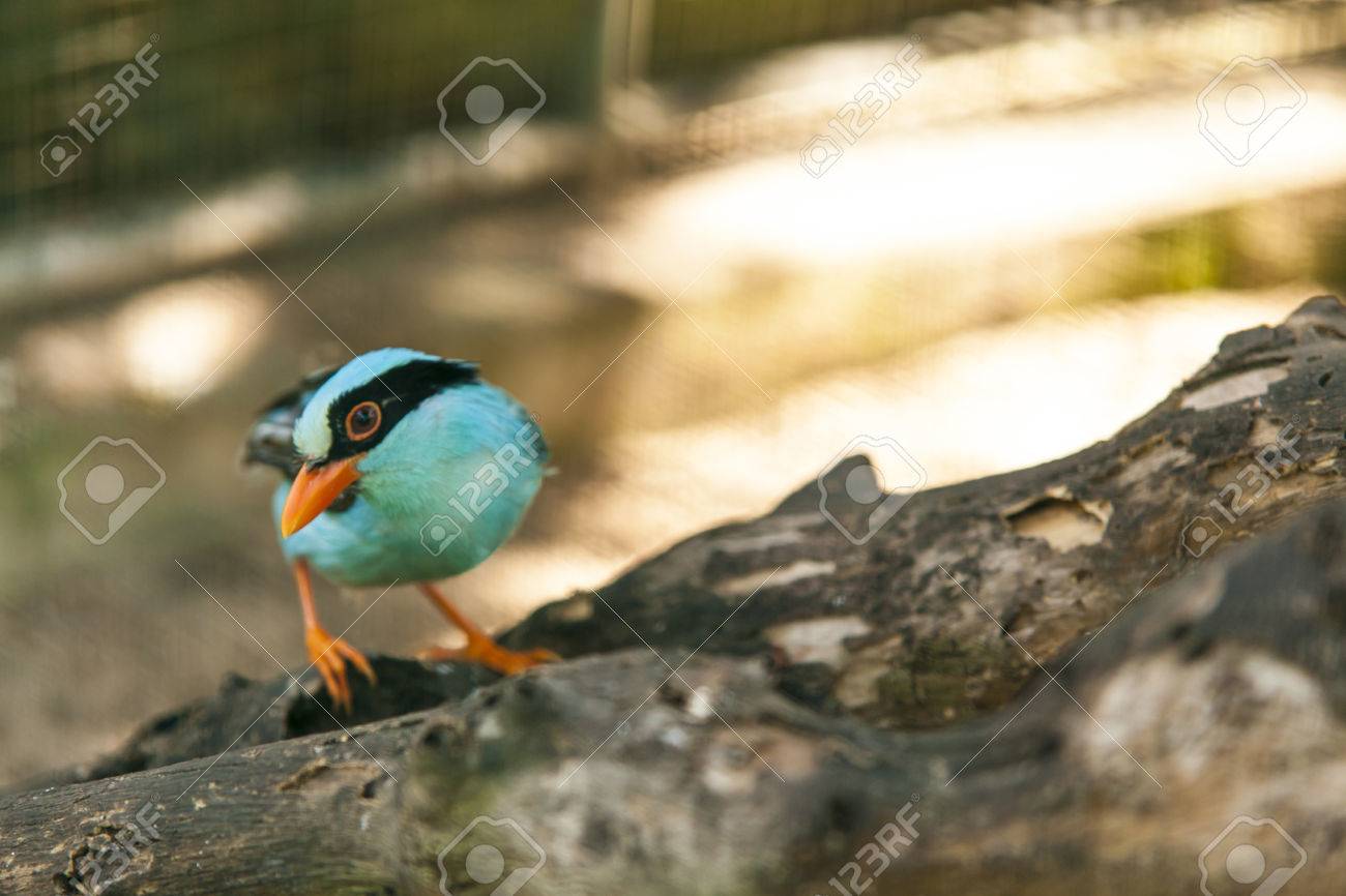 etiam-dictum-ipsum-a-felis