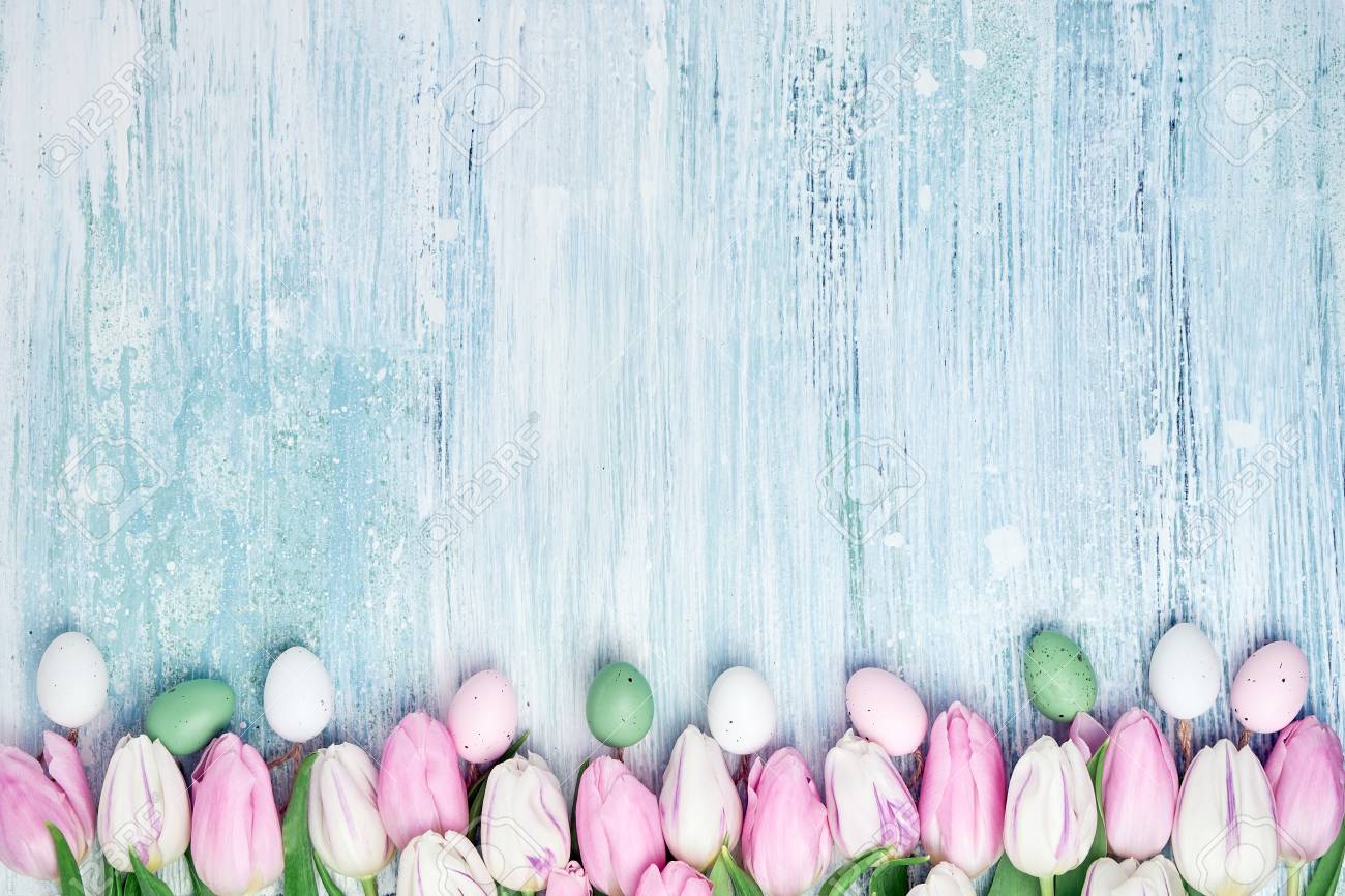 easter background decorative easter eggs and pink tulips border holiday card border
