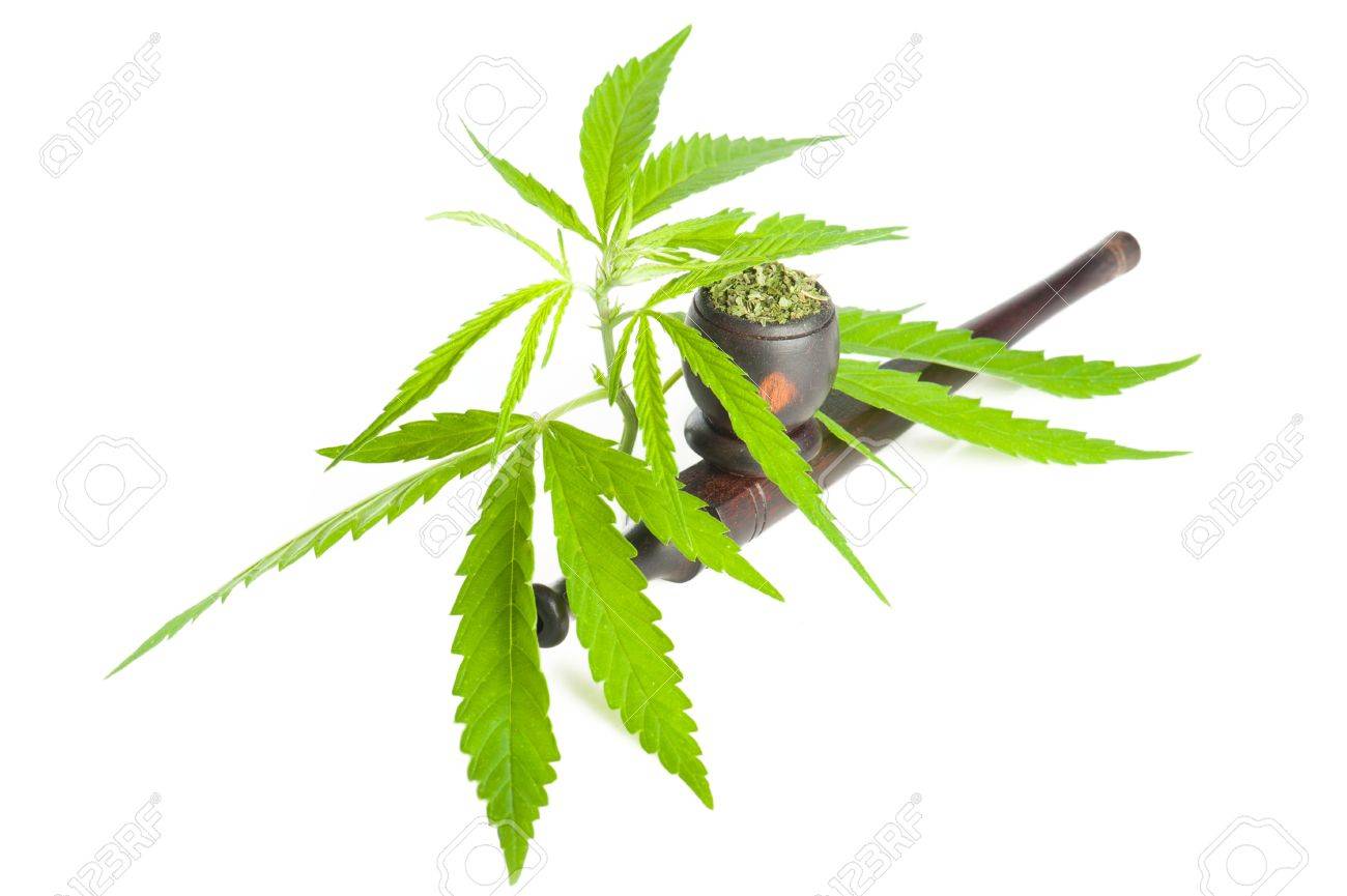 大麻 マリファナの葉 パイプ 白い背景で隔離の乾燥製品を使用する準備ができて の写真素材 画像素材 Image 大麻 マリファナの葉 パイプ 白い背景で隔離の乾燥製品を使用する準備ができて の写真素材 画像素材 Image