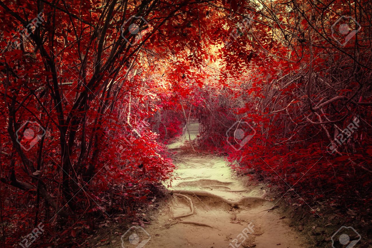 Surreal Colors Of Fantasy Landscape At Tropical Jungle Forest Stock Photo Picture And Royalty Free Image Image