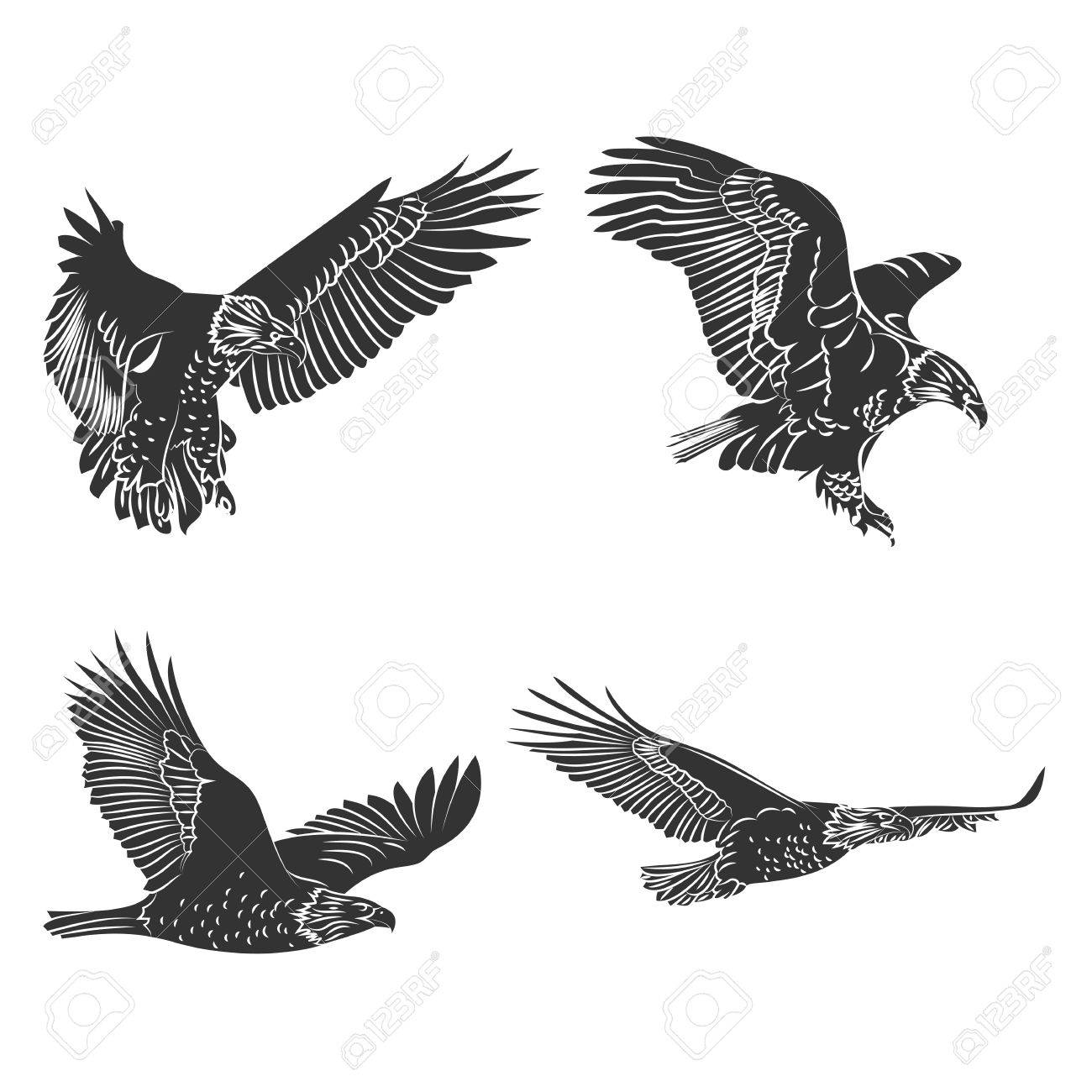 鷲と鷹のシルエットを設定します のイラスト素材 ベクタ Image