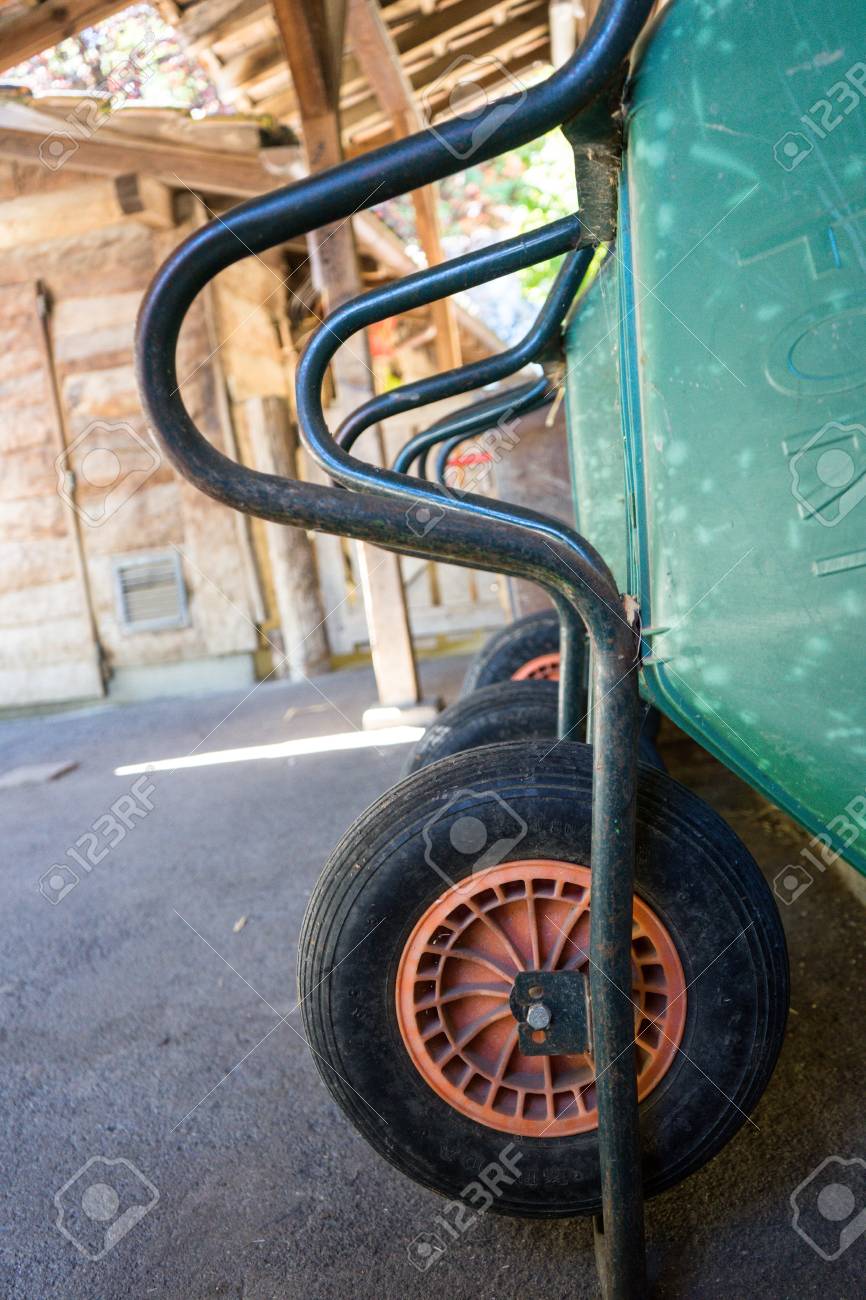 etiam-dictum-ipsum-a-felis