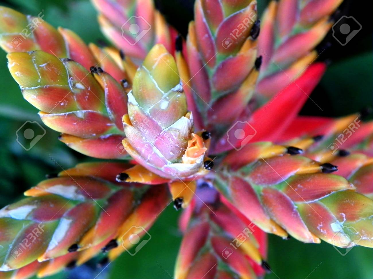 etiam-dictum-ipsum-a-felis