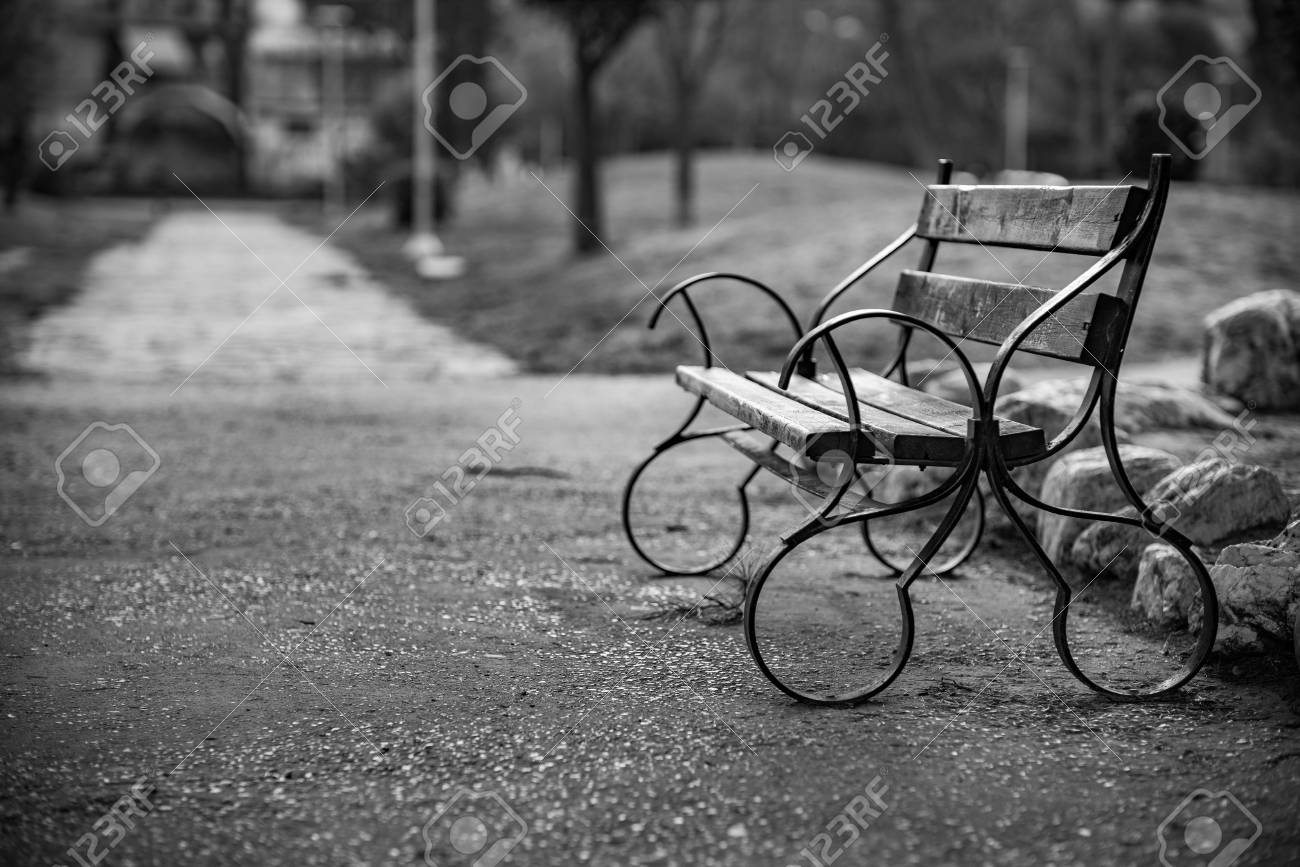 Beautiful bench in the park black and white classic style photograph nostalgia for old