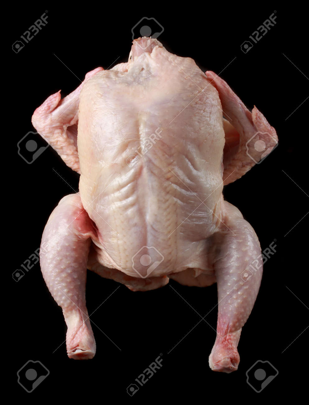 etiam-dictum-ipsum-a-felis