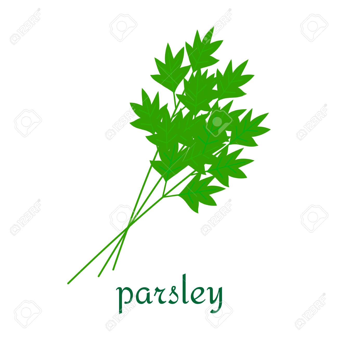 パセリのアイコン のイラスト素材 ベクタ Image