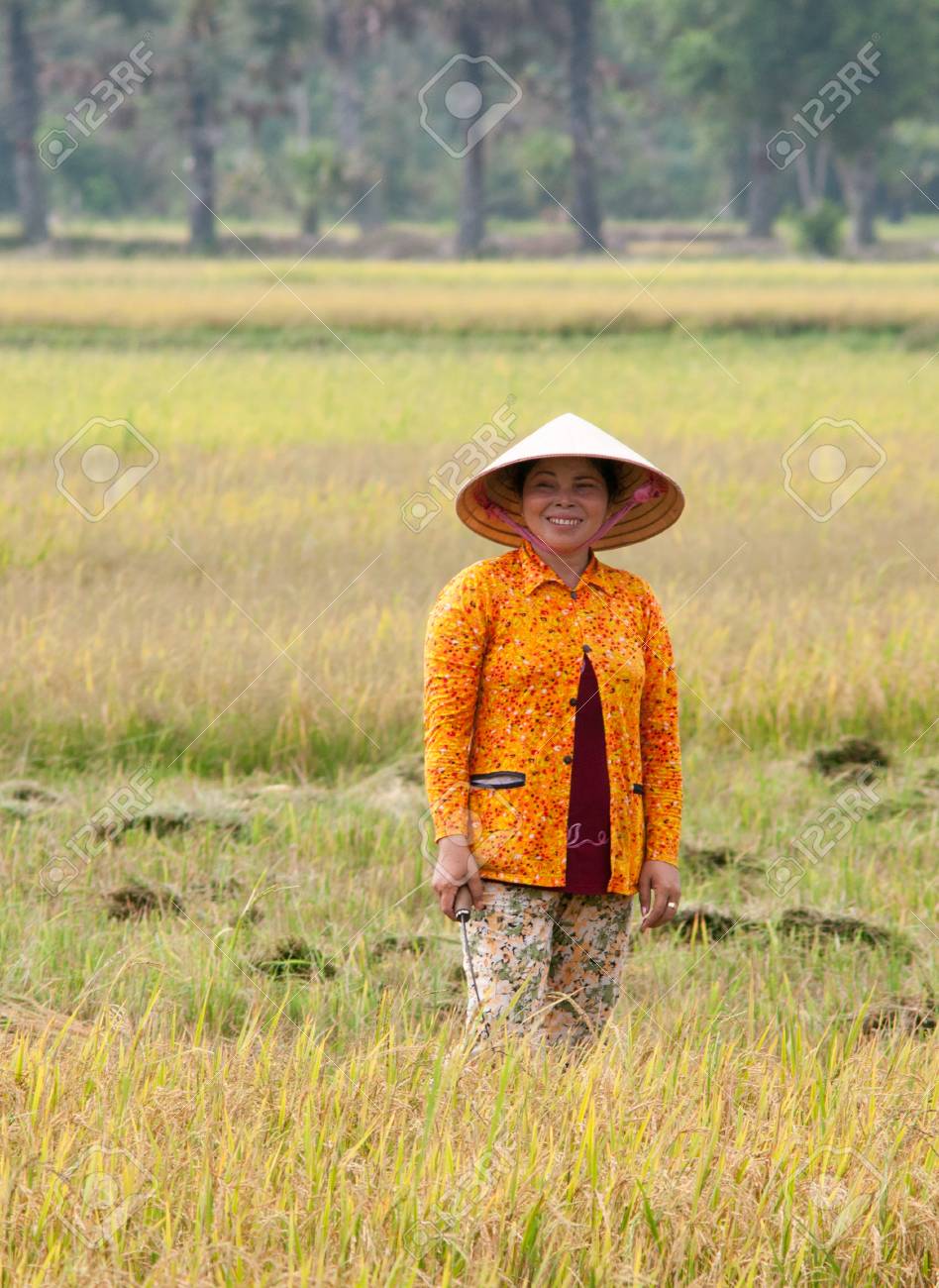 vietnamese farmer hat