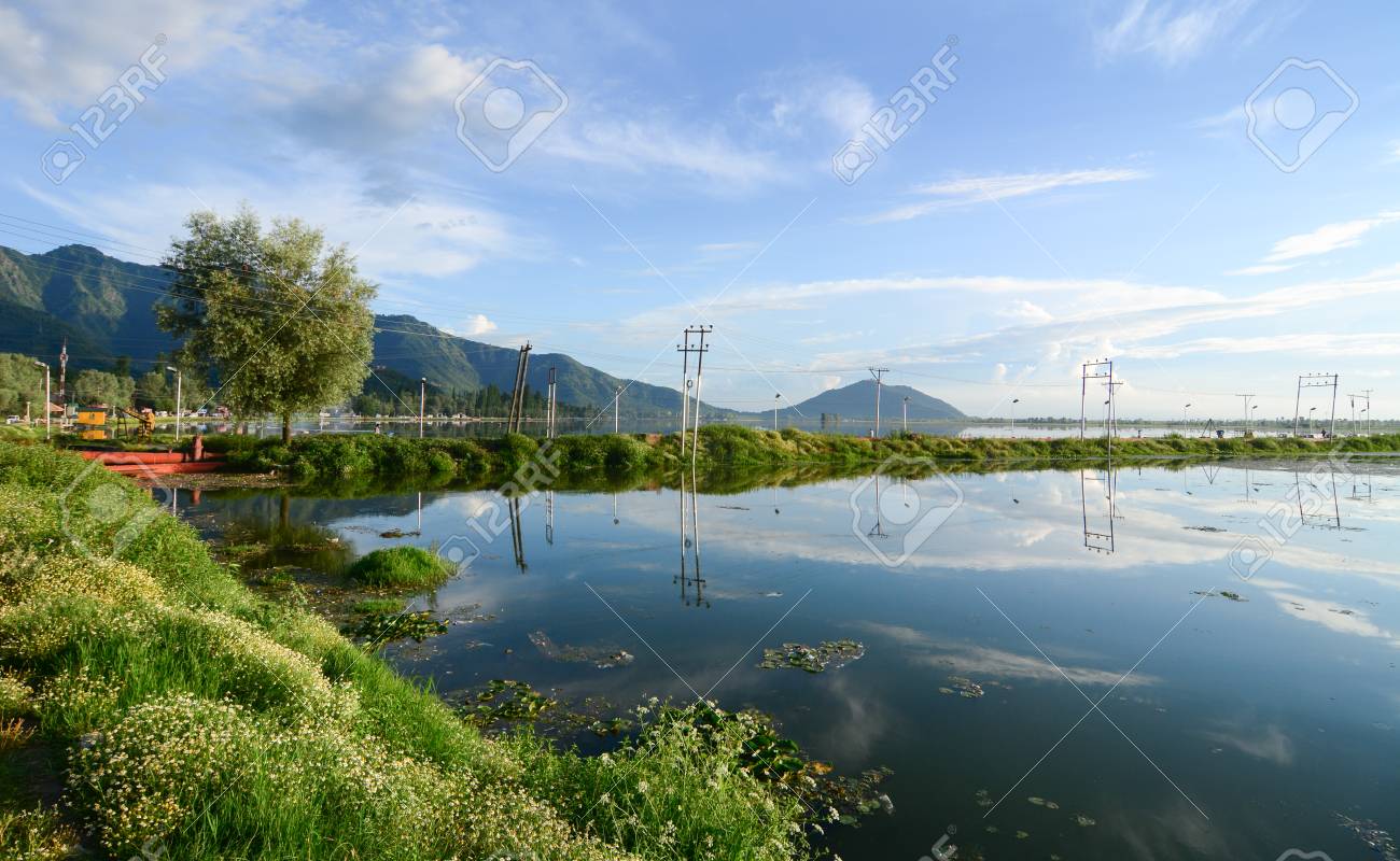 インドのスリナガルでダル湖の風景です ジャンムー カシミール州の夏の首都 スリナガルはそれが政治的に安定した 美しいです の写真素材 画像素材 Image