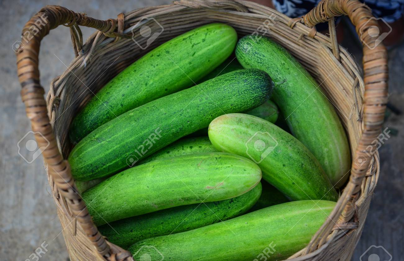 コロン島 フィリピンの市場で新鮮な緑のキュウリ の写真素材 画像素材 Image