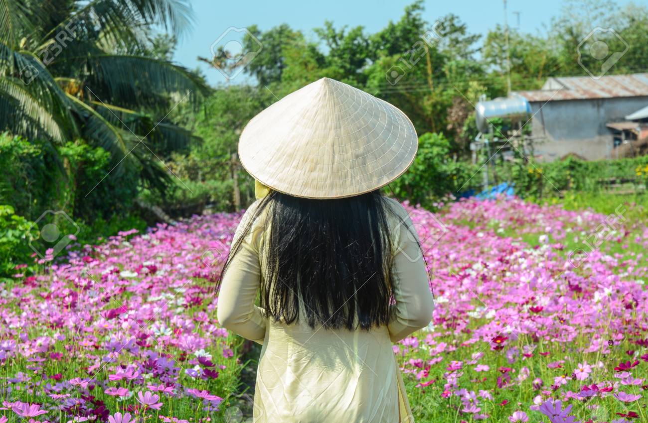 a vietnamese woman in traditional dress standing at cosmos flower garden stock photo 93340089 - Vietnamese Garden a vietnamese woman in traditional dress standing at cosmos flower garden stock photo 93340089 - Vietnamese Garden