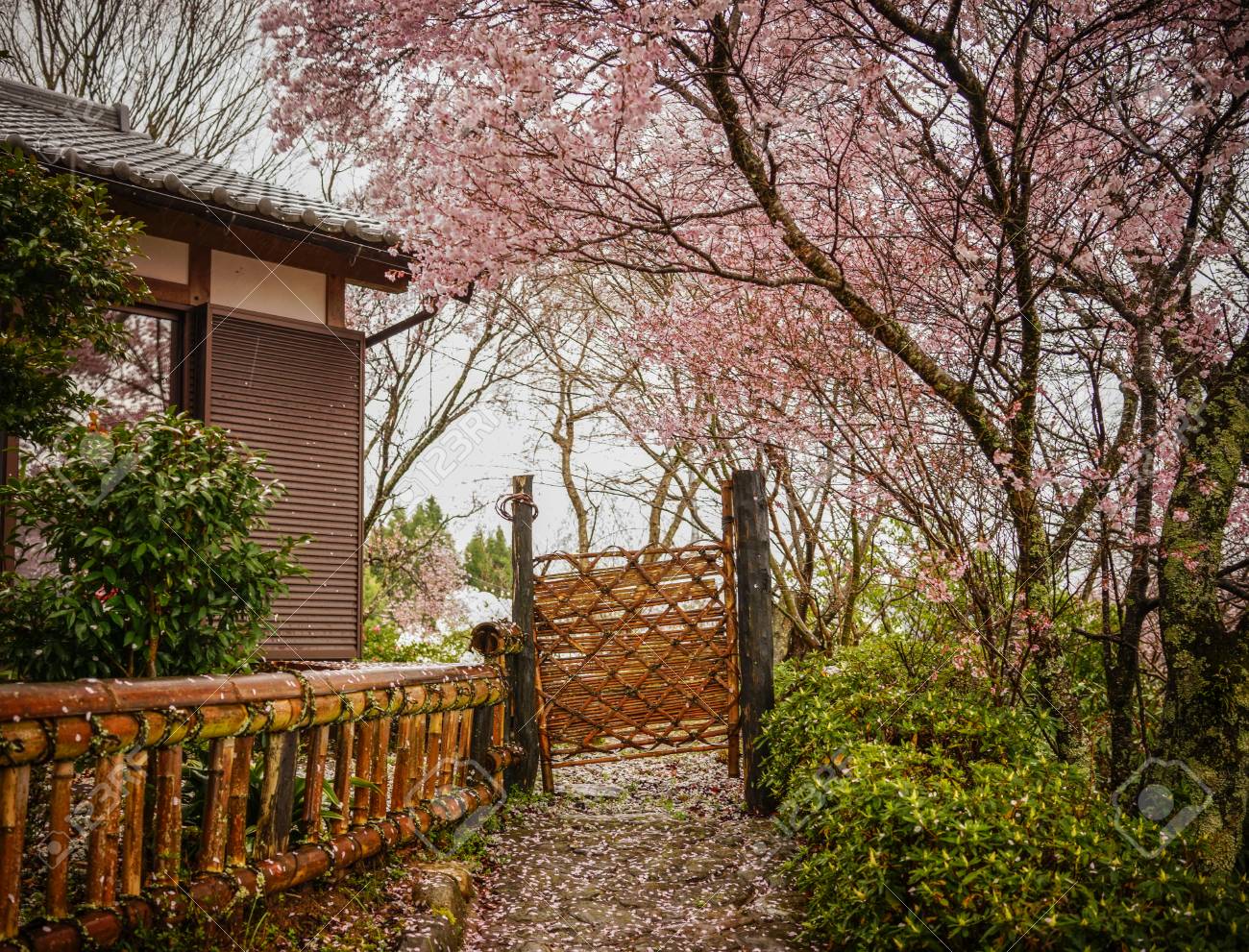 Small Garden With Cherry Trees And Flowers In Spring Time Stock
