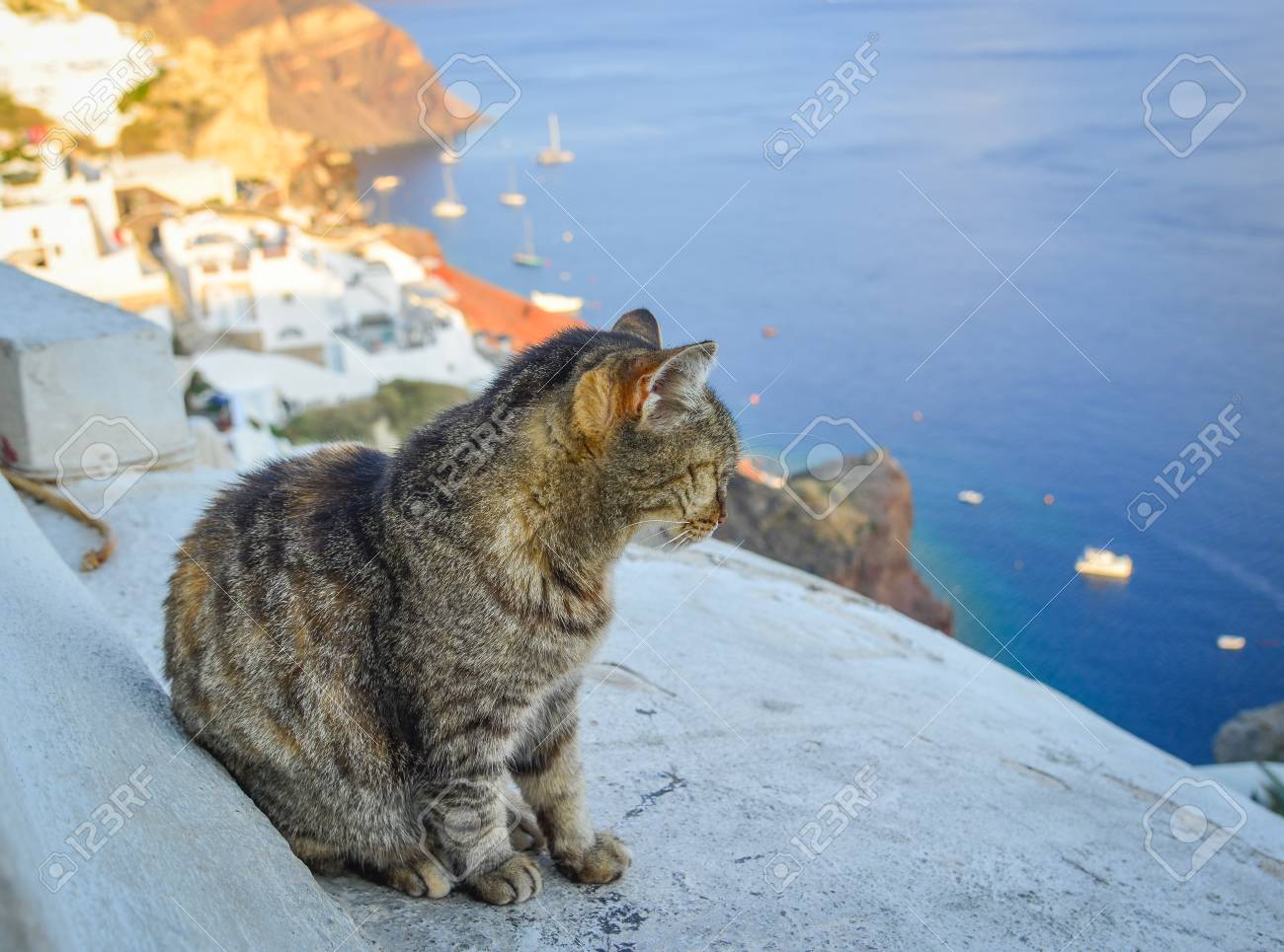 etiam-dictum-ipsum-a-felis
