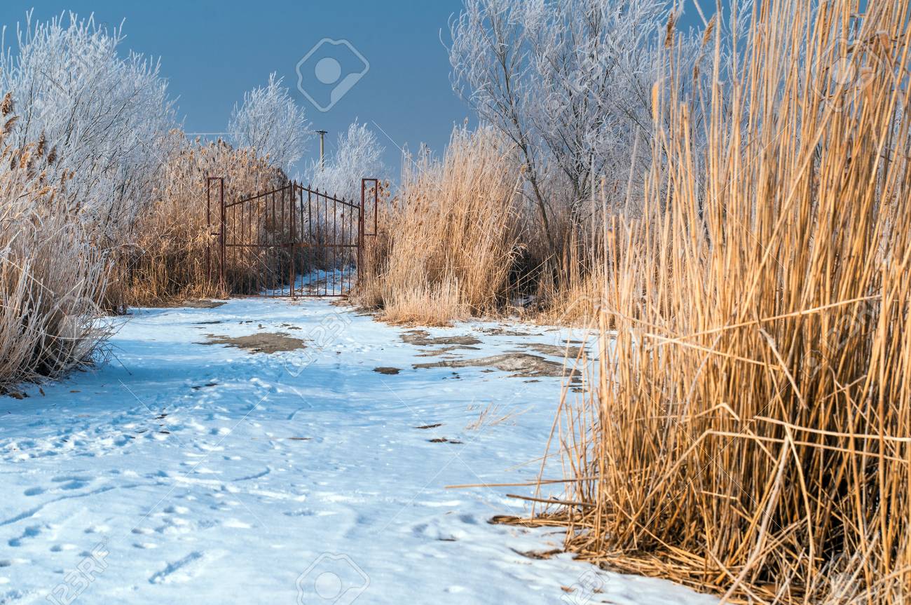 ボステン湖の冬 の写真素材 画像素材 Image 44787020