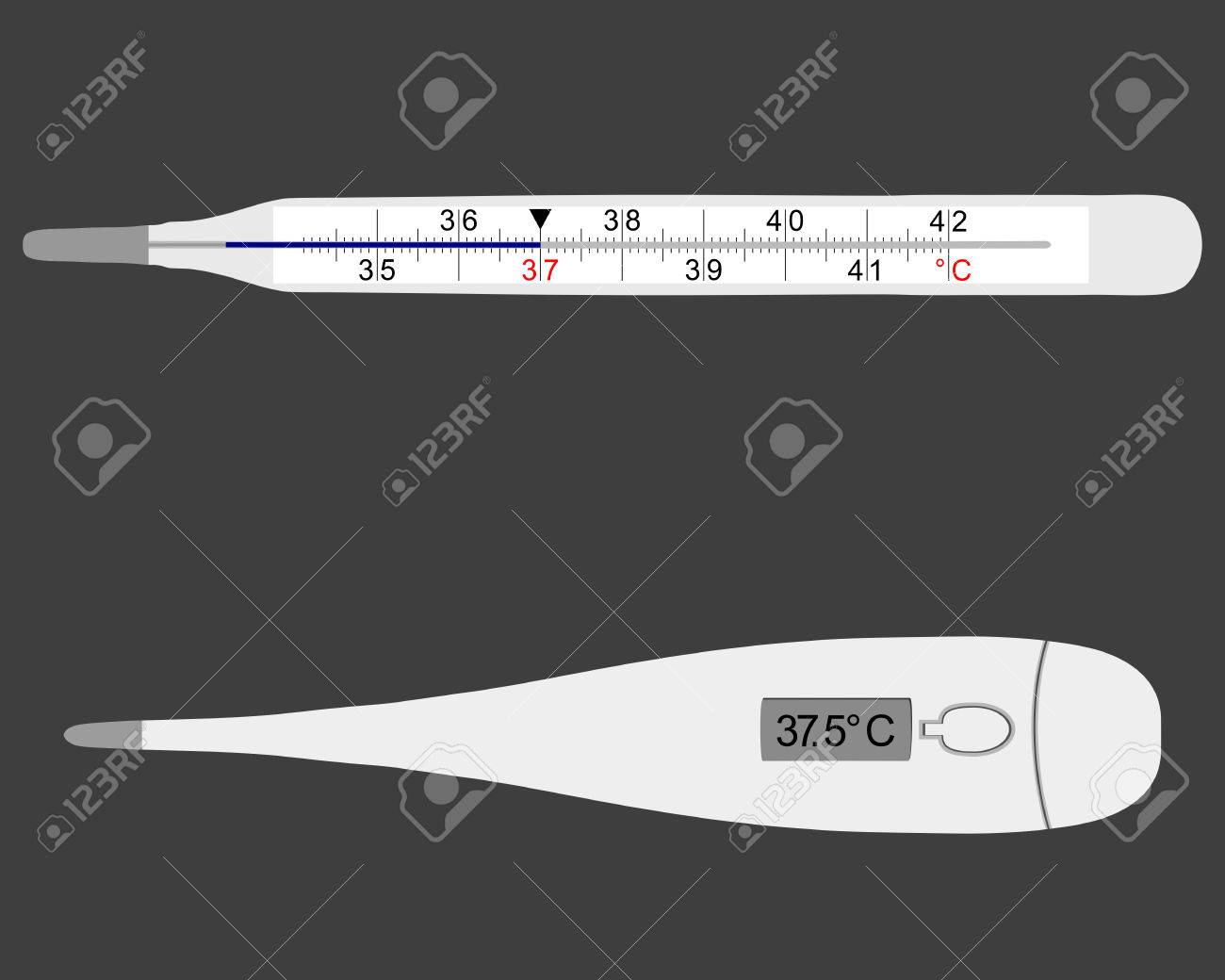 灰色のアナログおよびデジタル体温計のイラストのイラスト素材 ベクタ Image