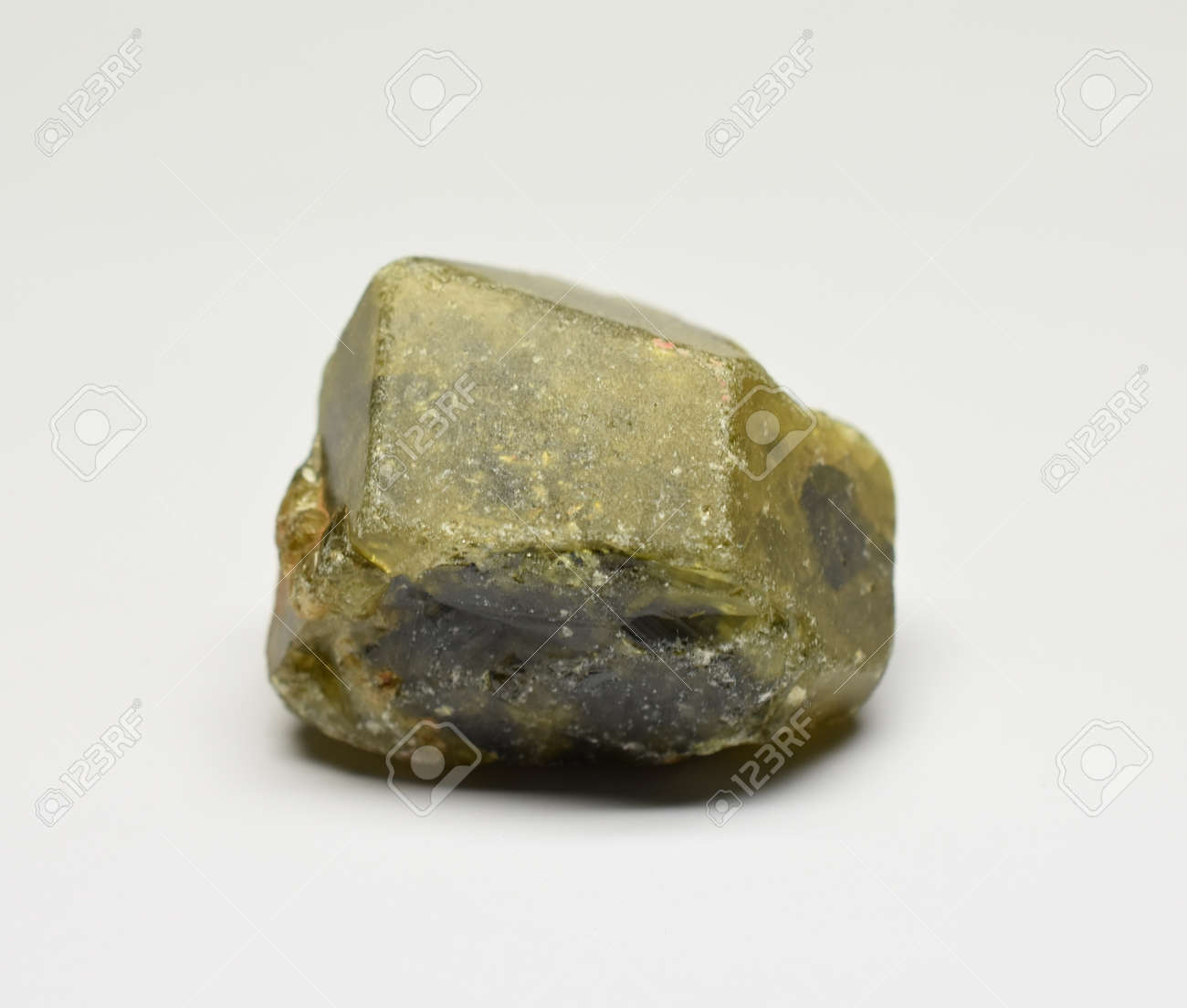 etiam-dictum-ipsum-a-felis