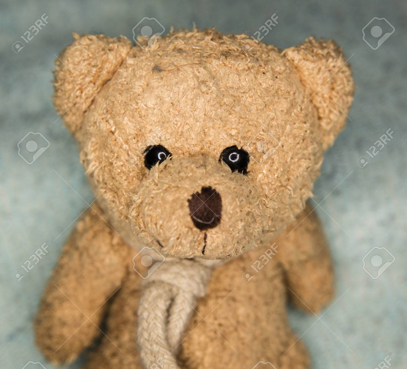 stuffed bear eyes